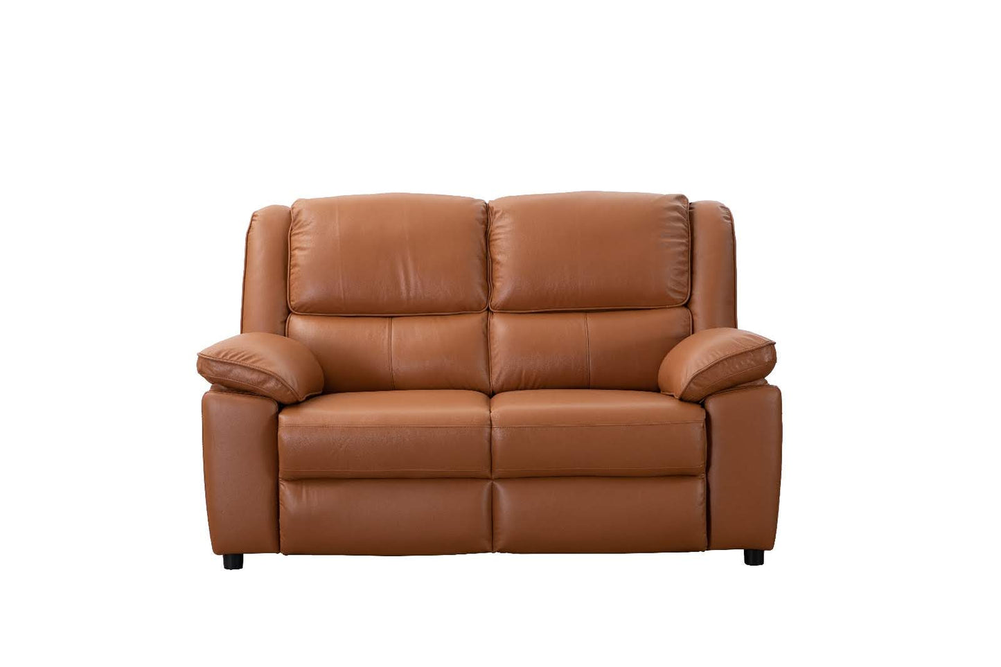 Paris Leather Sofa Collection | Divano