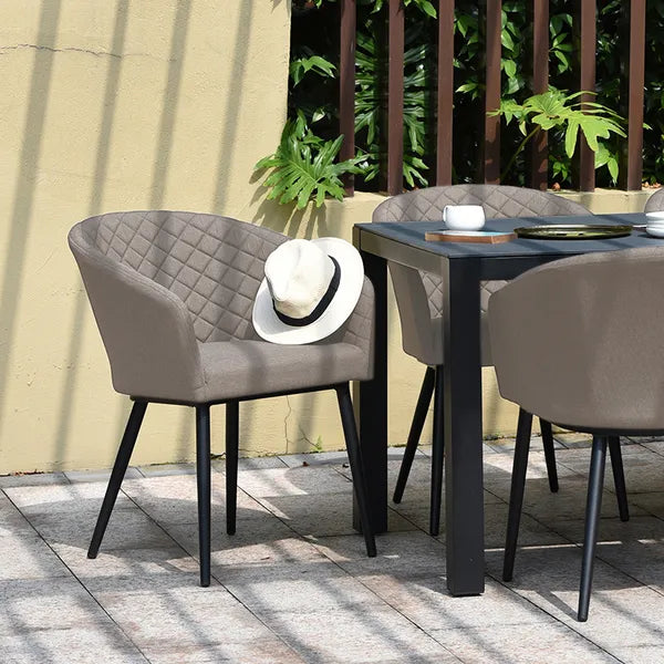 Outdoor Fabric Pair of Ambition Dining Chairs - Flanelle