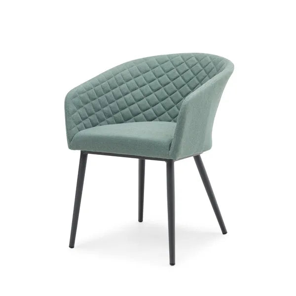 Outdoor Fabric Pair of Ambition Dining Chairs - Flanelle