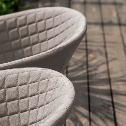 Outdoor Fabric Pair of Ambition Dining Chairs - Flanelle